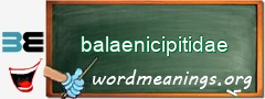 WordMeaning blackboard for balaenicipitidae